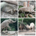 ND_3r_ZOO_31_5_2022_3